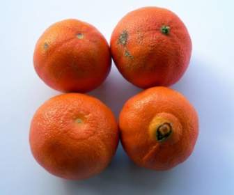 Fruta De Clementine
