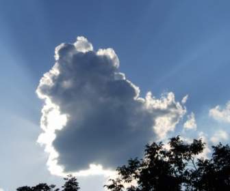 Nuvem Dia S Céu