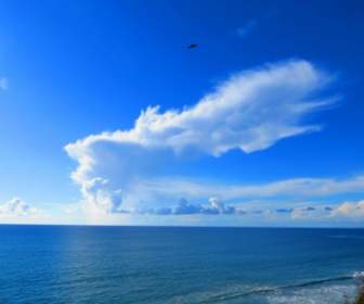 구름 바다에 하늘