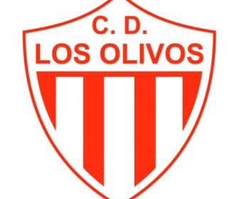Club Deportivo Los Olivos De General Guemes