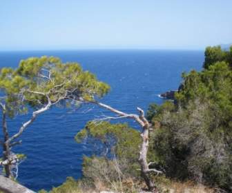 地中海沿岸の自然