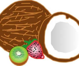 Kokosnüsse Kiwi Erdbeere ClipArt