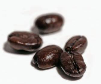 coffee beans coffee aroma