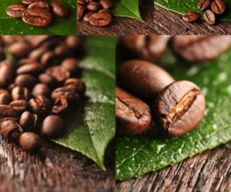 Coffee Beans Highdefinition Picture
