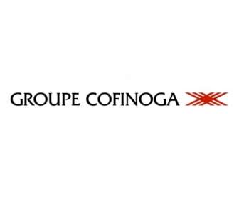 Cofinoga 그룹