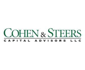 Cohen Steuert Kapital Berater