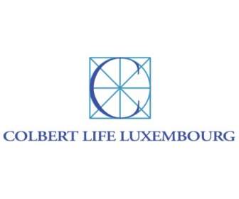 Colbert Kehidupan Luksemburg