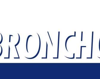 Logo De Broncho Kwdikous
