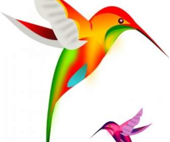 Colibri Birds Clip Art