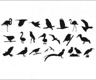 Coleção De Silhuetas De Pássaros