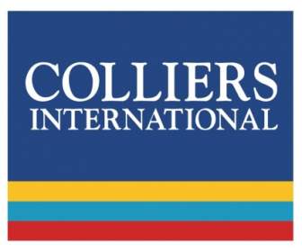 Colliers Internasional