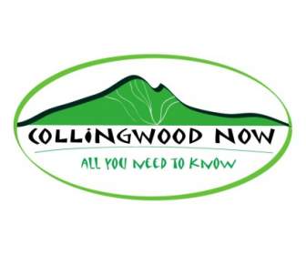 Collingwood Sekarang