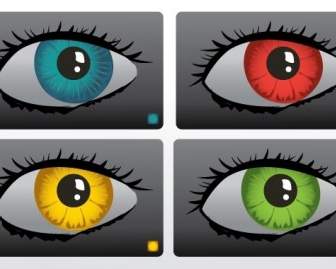 Augen Farbvektor