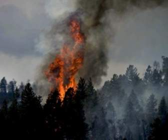 科羅拉多州的火災天空