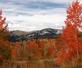 Natura Paesaggio Colorado