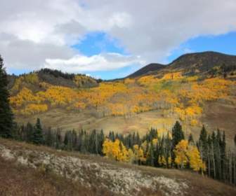 Colorado Mountains Landscape