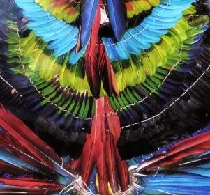 Colorful Feathered Headdress Amazon