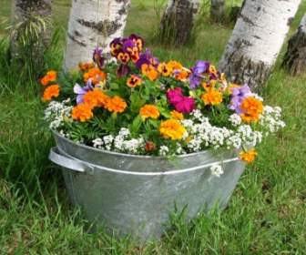 Colorful Flower Bucket Pot