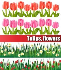 Tulip Yang Berwarna-warni Vektor