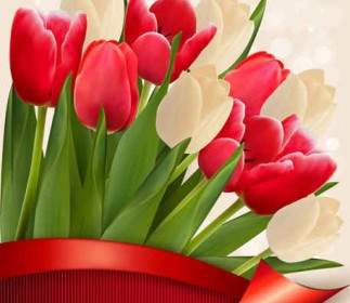 Tulip Yang Berwarna-warni Vektor Bunga