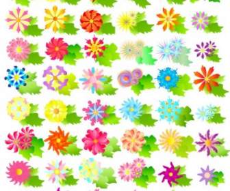 Colorful Vector Flowers