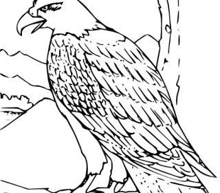 Coloring Book Bald Eagle Clip Art