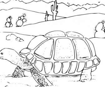 Malbuch Wüste Schildkröte-ClipArt
