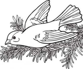 Coloring Book Willow Goldfinch Clip Art