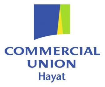 Hayat Unione Commerciale
