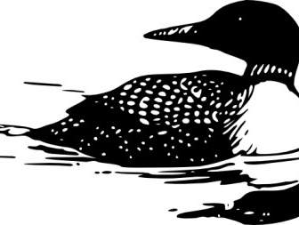 Общие Картинки loon