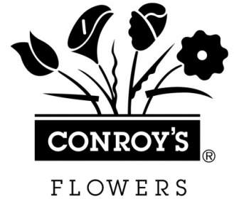 Conroys 꽃