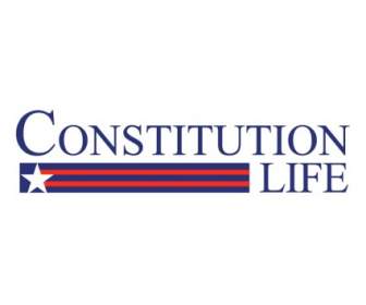 Konstitusi Kehidupan