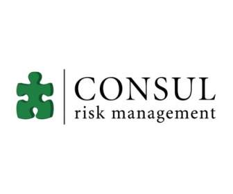 Управление рисками консул