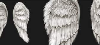 Cool Wings Psd Layered Material
