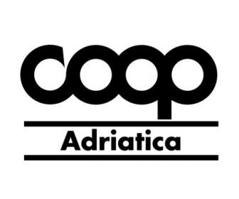 Adriatica คูพ