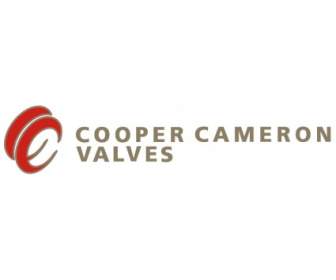 Cooper Valvole Cameron
