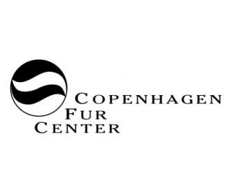 Centro Di Copenaghen Pelliccia