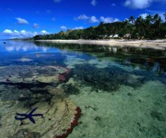 산호 해안 Viti Levu 벽지 피지 섬 세계