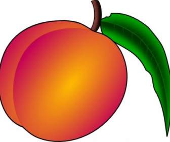 Coredump Peach Clip Art