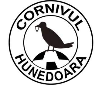 Cornivul-hunedoara