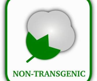 Cotone Transgenico Non