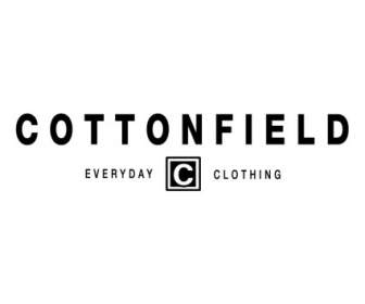 Cottonfield