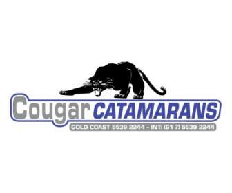 Catamarani Cougar