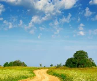 Country Path Wallpaper Landscape Nature