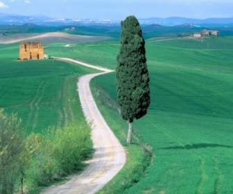 Monde D'Italie Pays Route Toscane Papier Peint