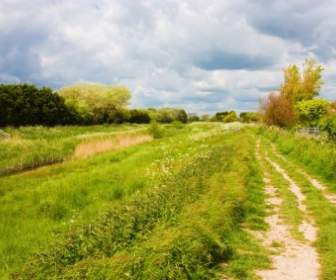 Countryside Trail Landscape