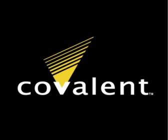 Covalents Technologies