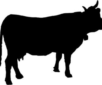 รูปเงาดำของวัว