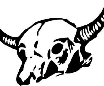 Cráneo De Vaca Clip Art