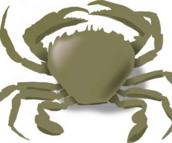Crabe Clipart